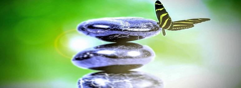 Neem contact op