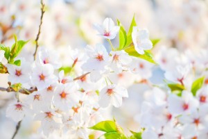 Energetische healing